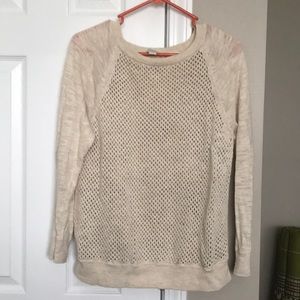 Fossil sweater